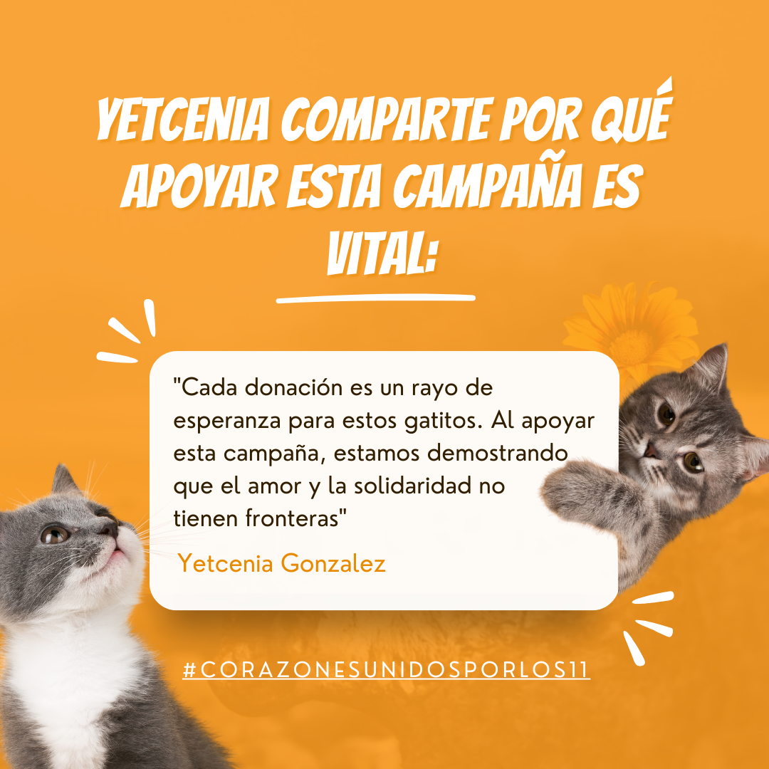 campaign-image