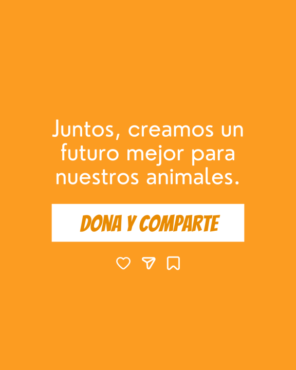 campaign-image
