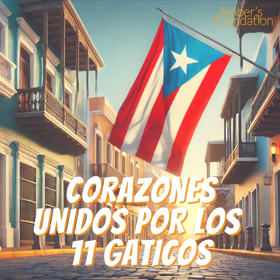 campaign-image