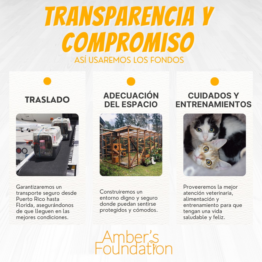 campaign-image