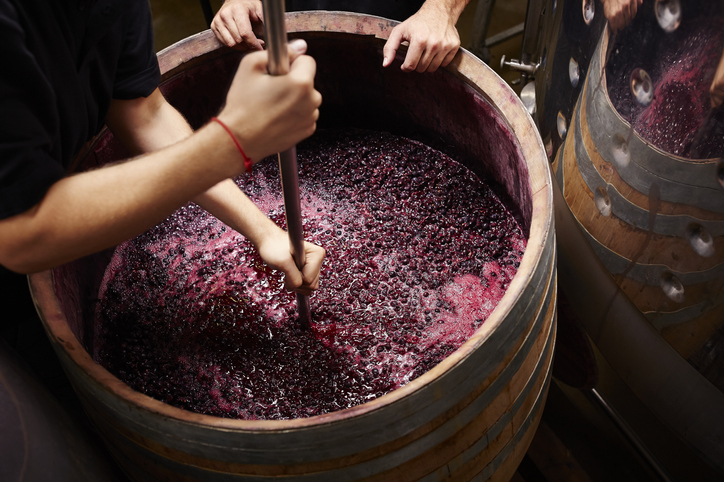 How Is Red Wine Made? | Red Wine Making | Apothic Wine