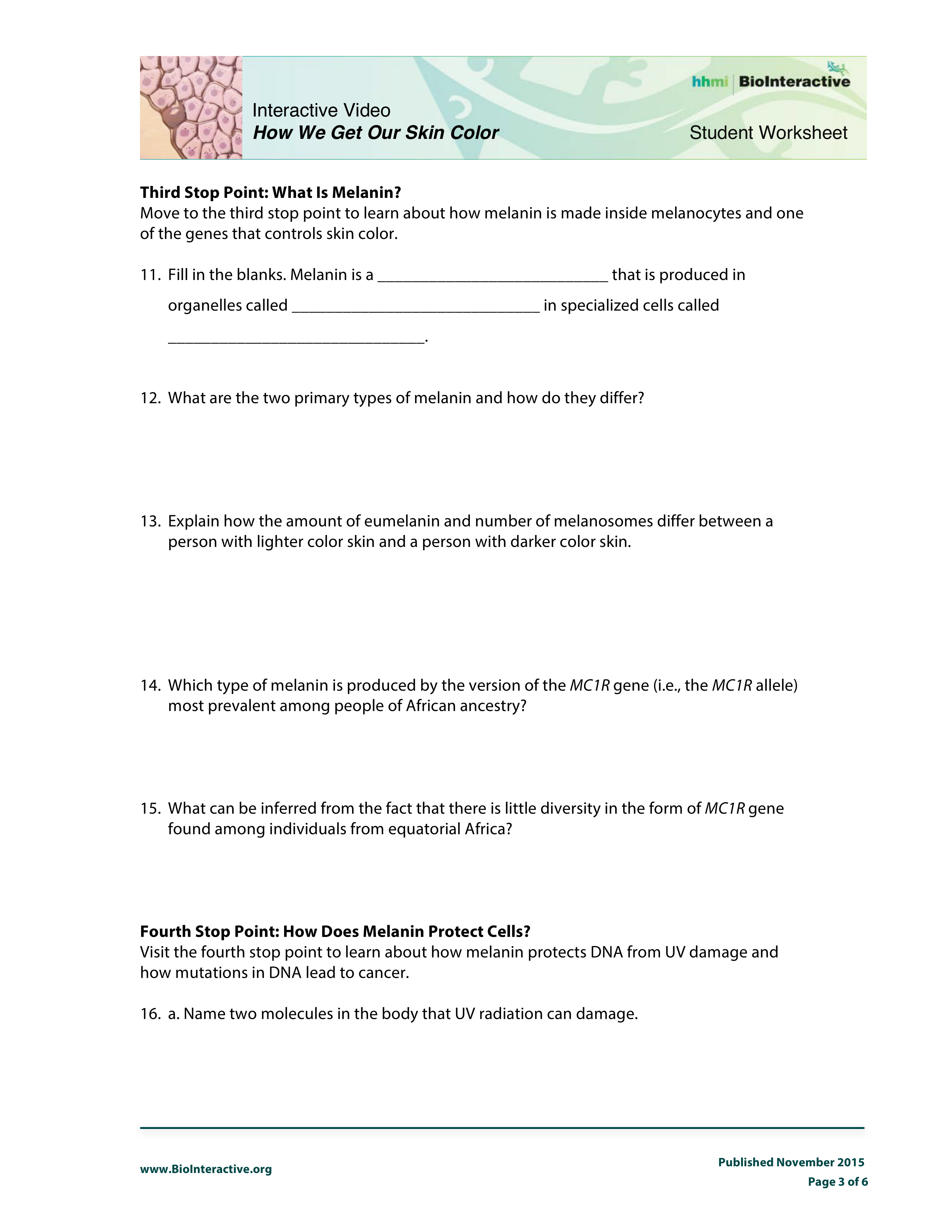 What is the relationship between uv radiation and skin color image