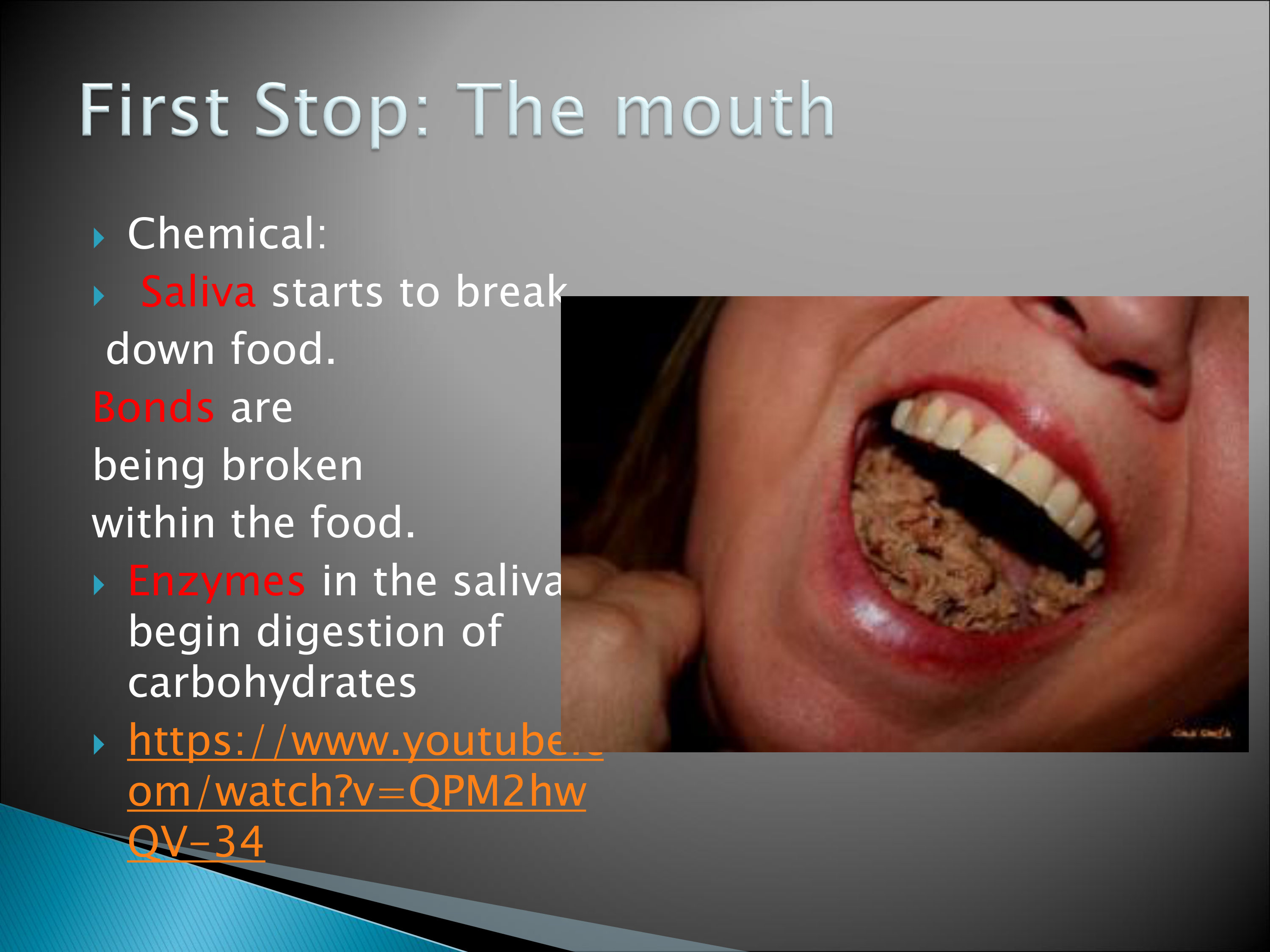 Physical and Chemical Changes in Digestion - Kate Rodriguez | Library