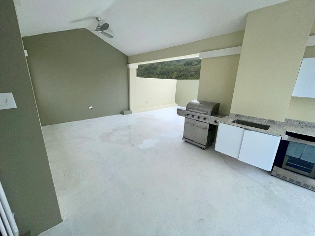 Cond. Harbour Lakes, Palmas Del Mar, 5D Ph — imagen 20