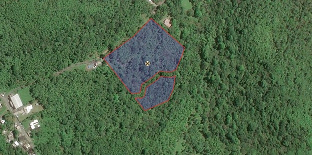 Finca Bo. Cacao, Carolina — Carolina, Puerto Rico