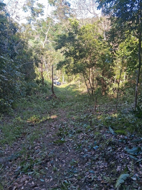 Finca Bo. Cacao, Carolina — imagen 8