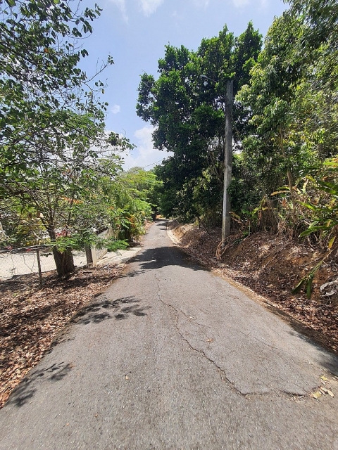 Finca Bo. Cacao, Carolina — imagen 10