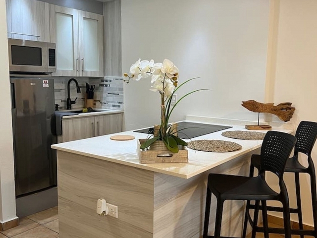 Estudio Condo. Condado Del Mar, Ashford, San Juan — imagen 4