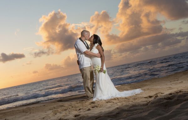 Wedding Planning Category Vendor planner