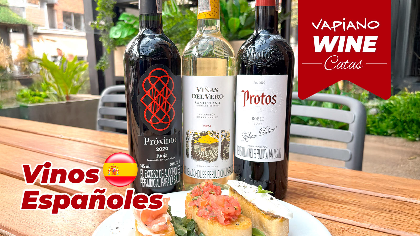 Cata vinos Españoles – Catas Vapiwine Bogotá