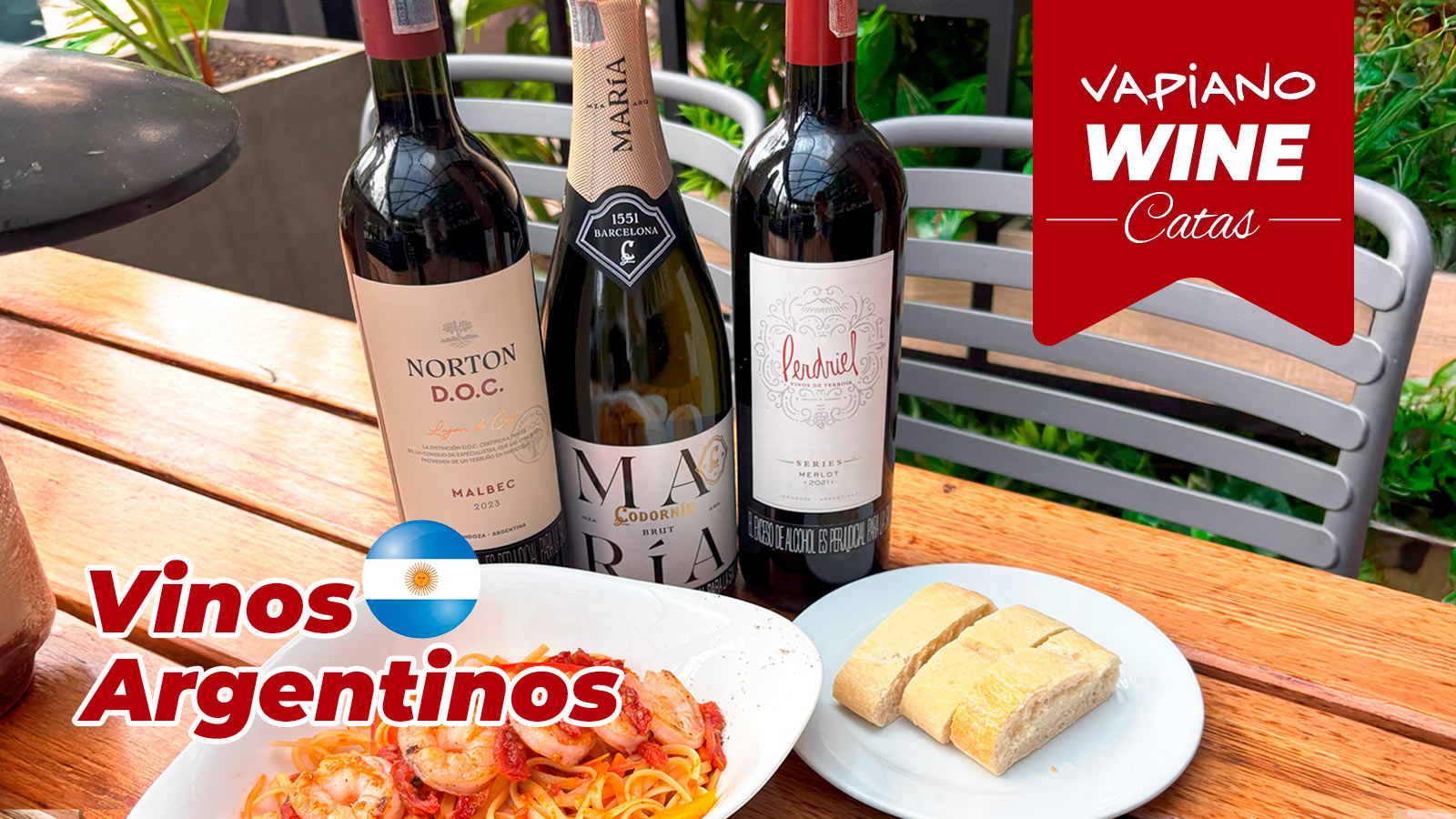 Cata vinos argentinos – Catas Vapiwine Bogotá