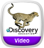 Learning Videos Icon