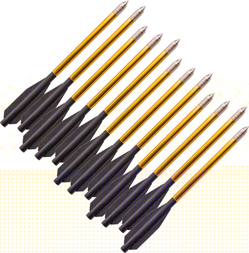 BEAR-X DESIRE CROSSBOW BOLTS 12PK