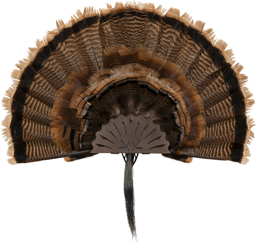 Allen 7238 EZ Mount Turkey Fan Display Wall Mount Turkey Brown Steel Includes Mounting Hardware