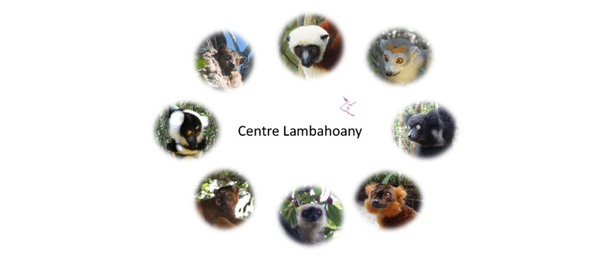 Centre Lambahoany