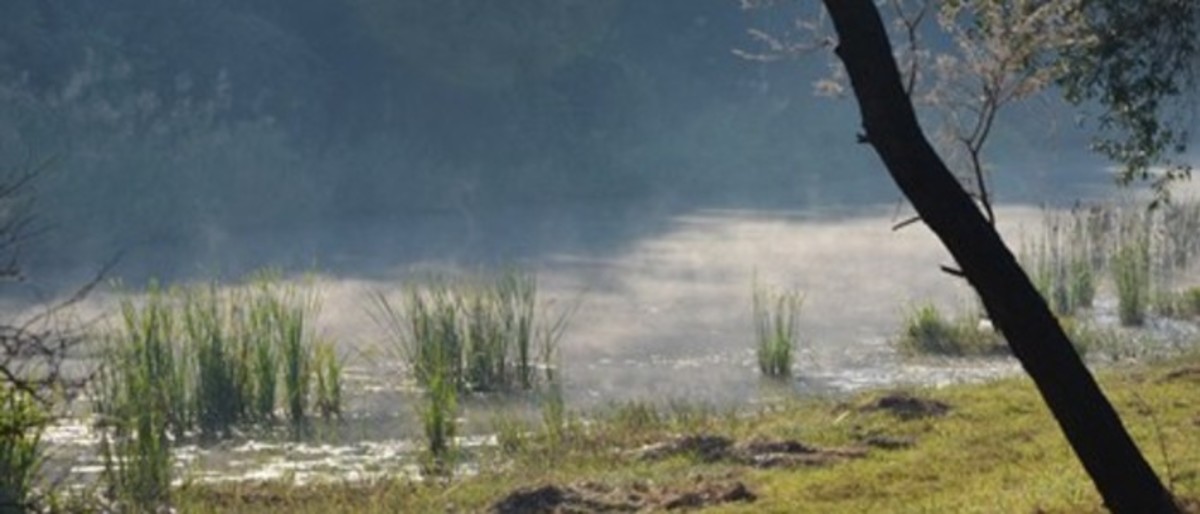 Riverside Wildlife Rehabilitation Centre South Africa