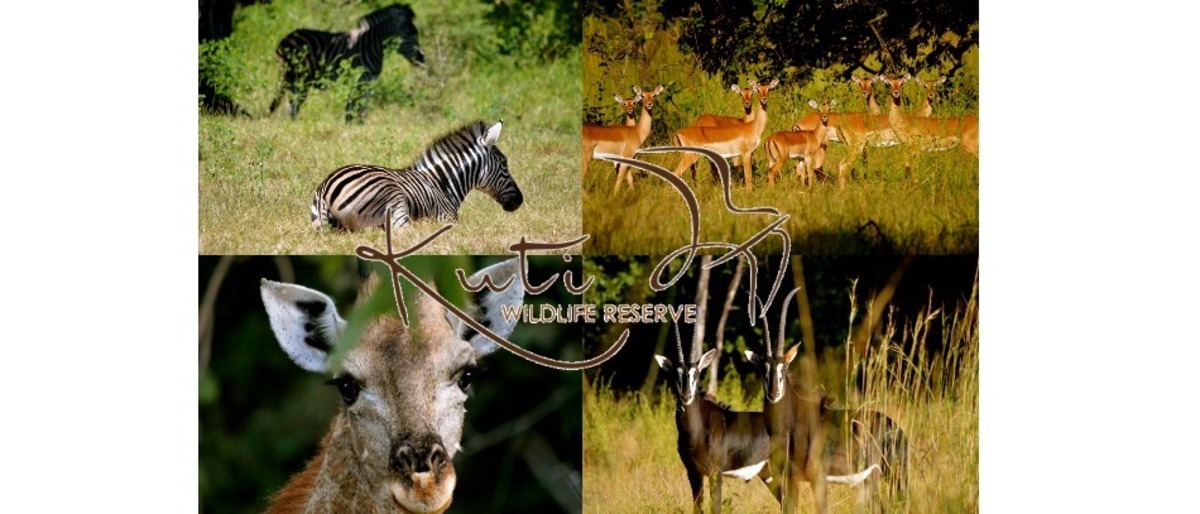 Kuti Wildlife Reserve Malawi