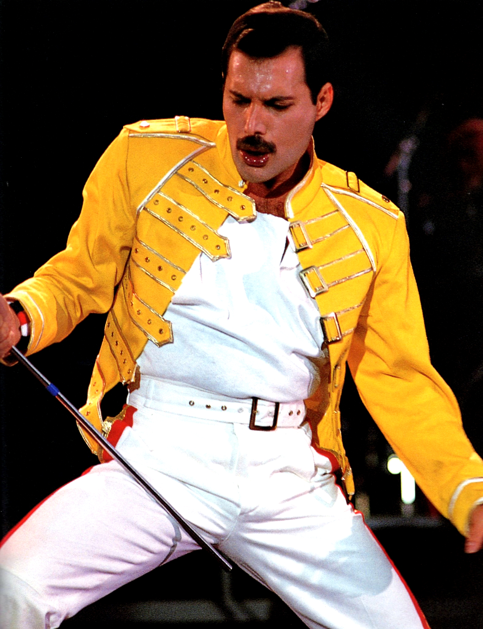 Freddie Mercury Costume Idea