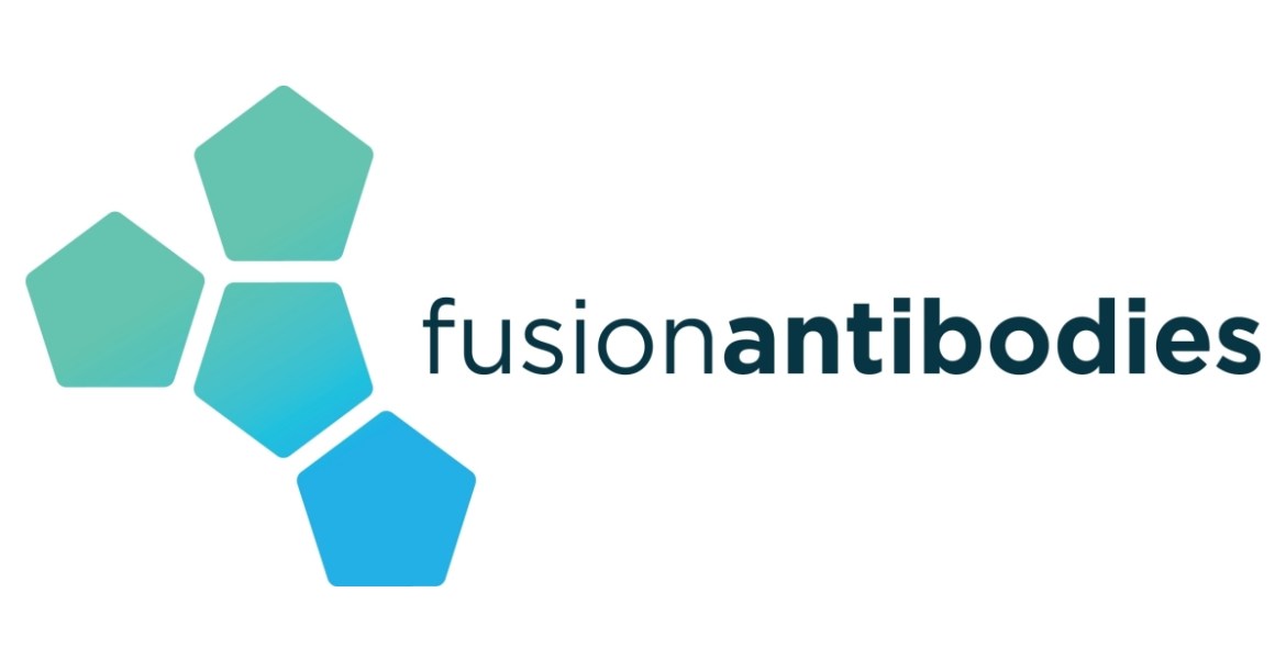 Fusion Antibodies