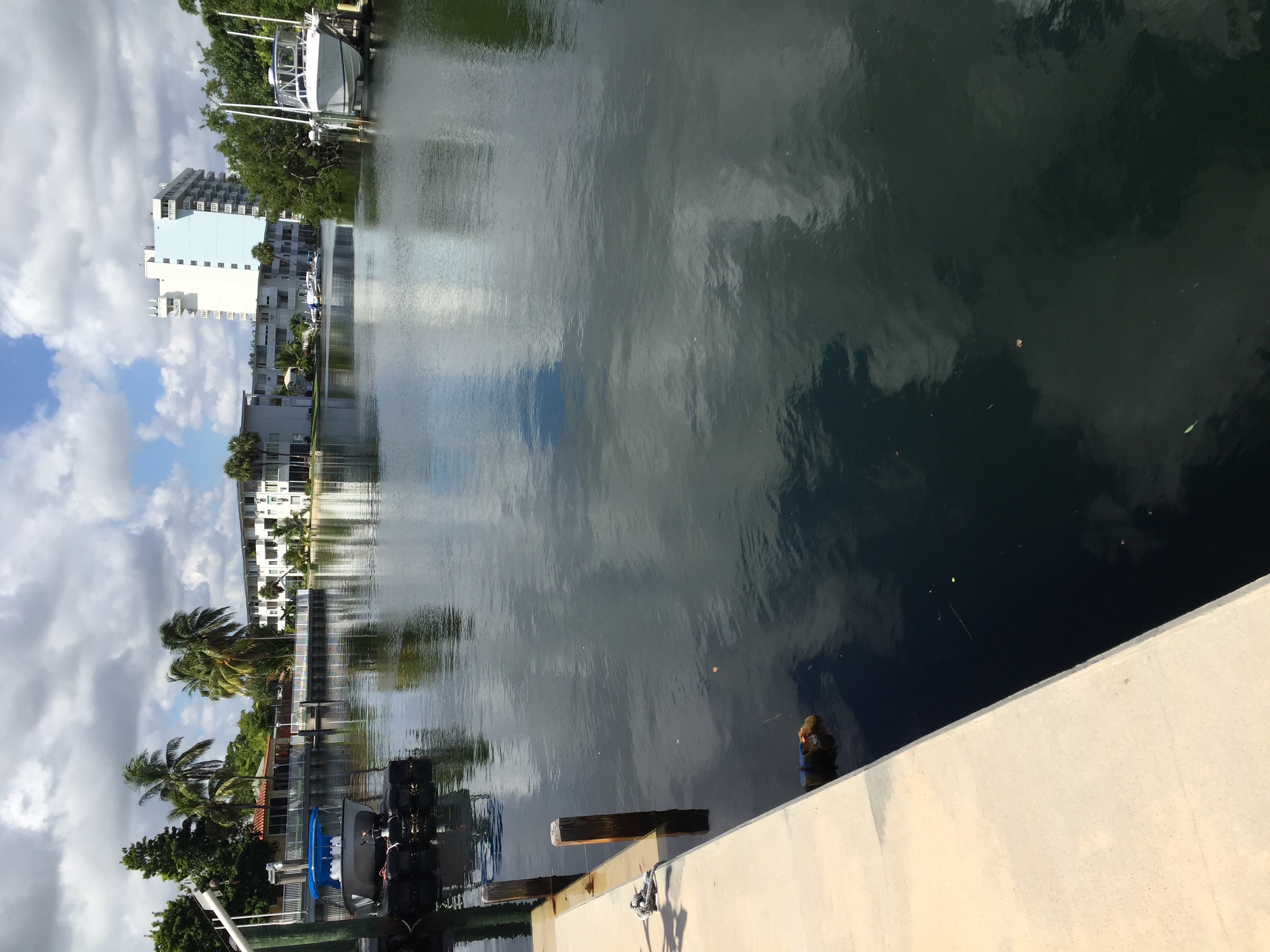 Paradise Docks for rent in North Miami