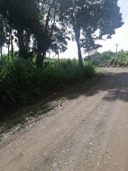 Imagen 2 del proyecto