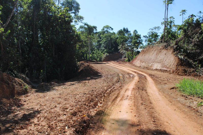 Imagen 1 del proyecto