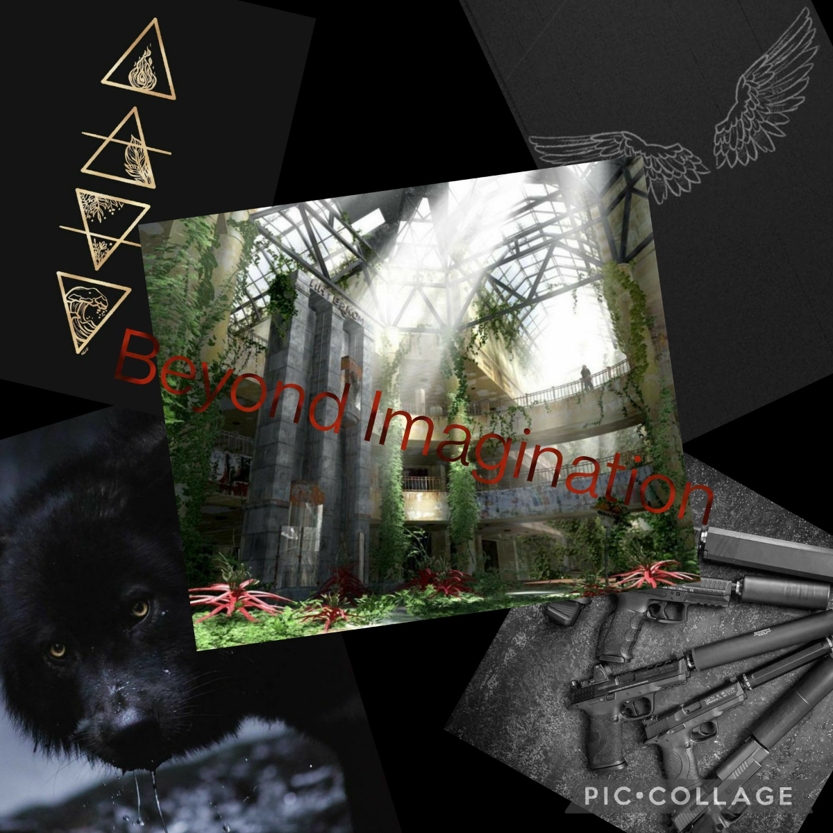 Cover of Beyond Imagination