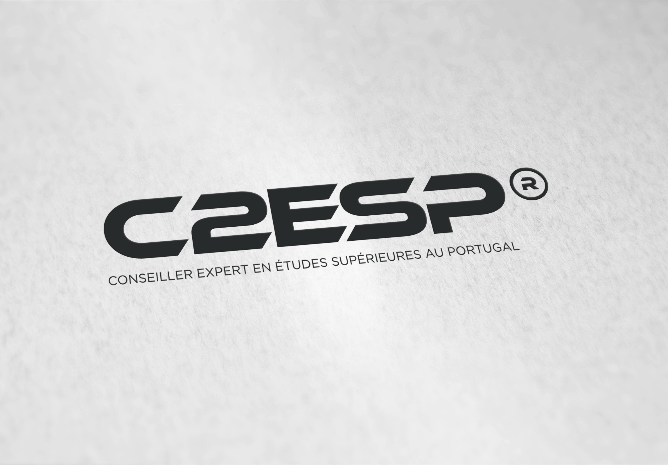 Initial sample of C2ESP logo