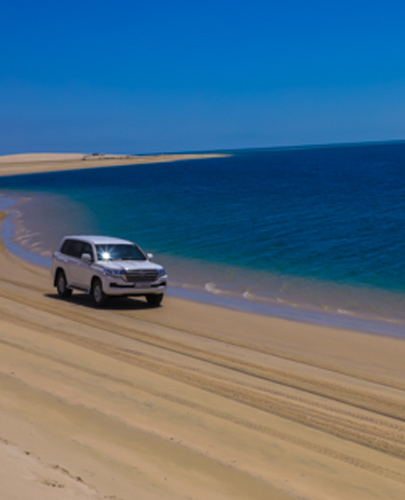 Authentic Arabian Desert Experience
