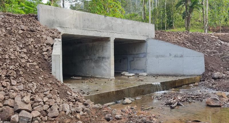 Imagen 149 del proyecto