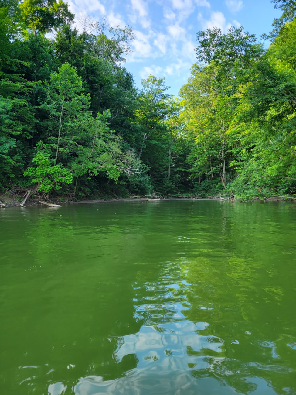 Caesar Creek Lake photo 3