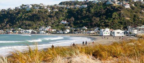 Lyall Bay photo 2