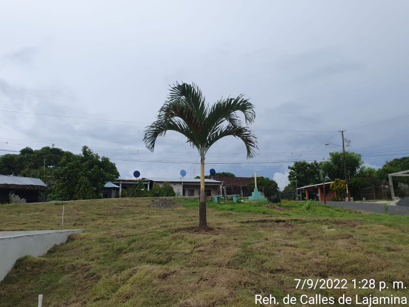 Imagen 33 del proyecto