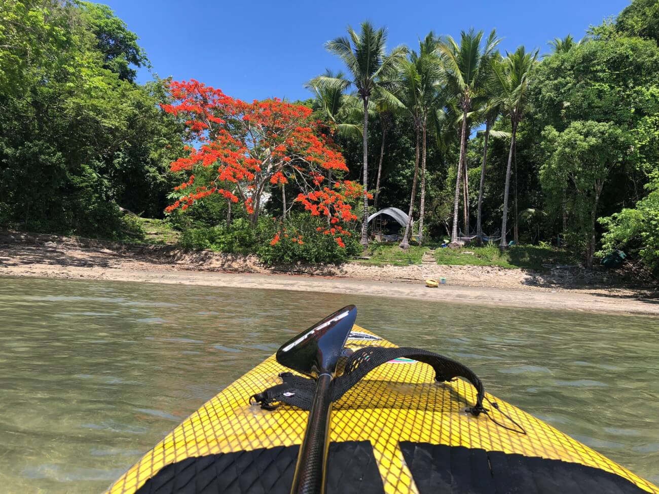 Bahia Rica, Paquera photo 4