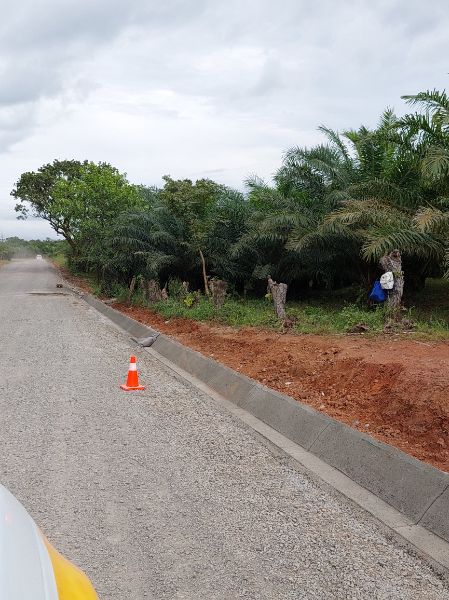 Imagen 2 del proyecto