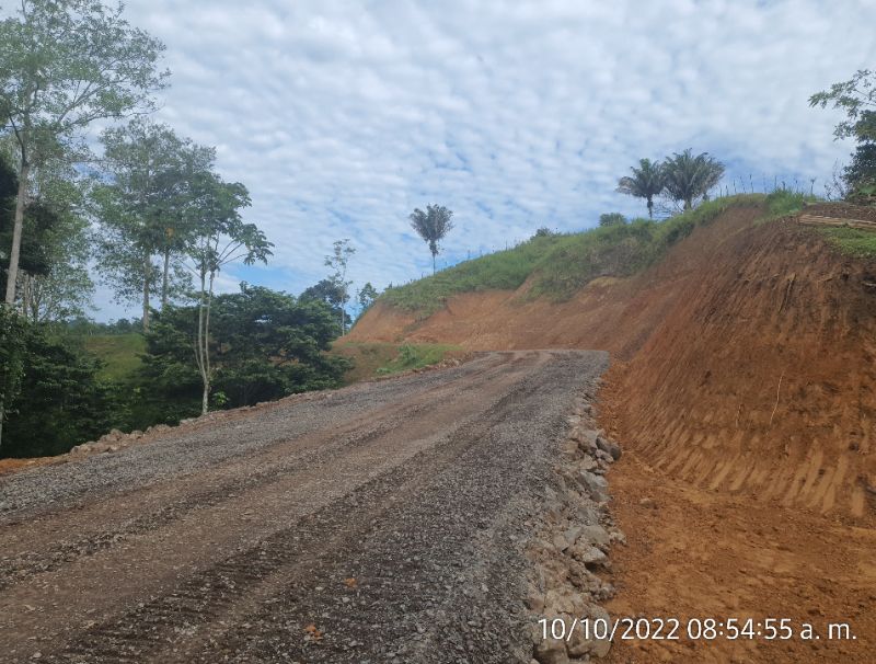 Imagen 345 del proyecto