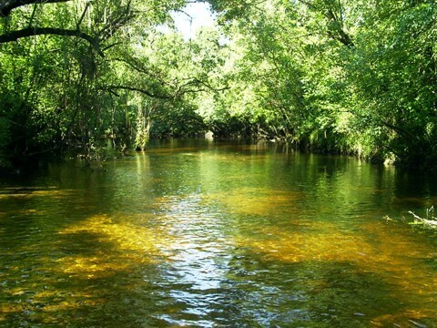 Canoe Outpost Little Manatee River photo 3