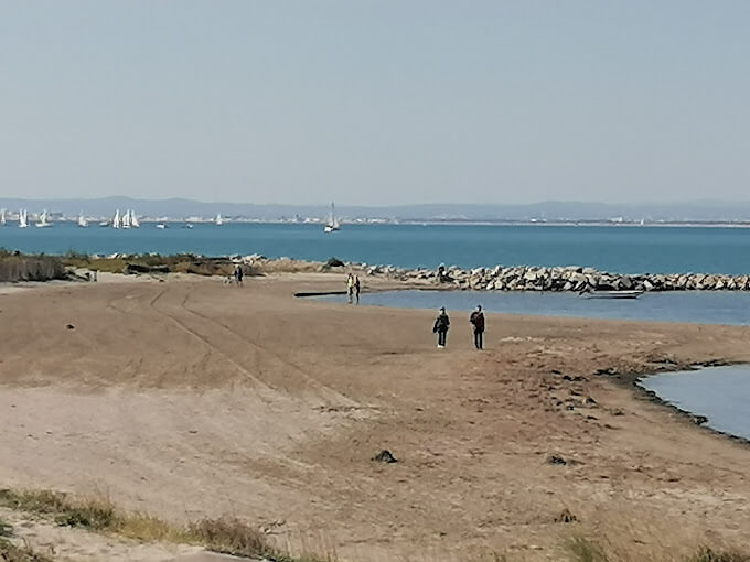 Port Camargue photo 2