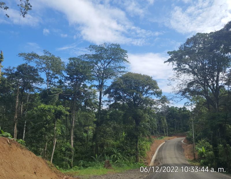 Imagen 385 del proyecto
