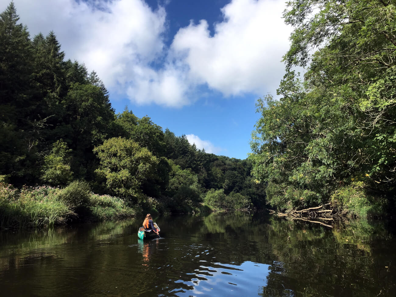 Cardigan bay active photo 4