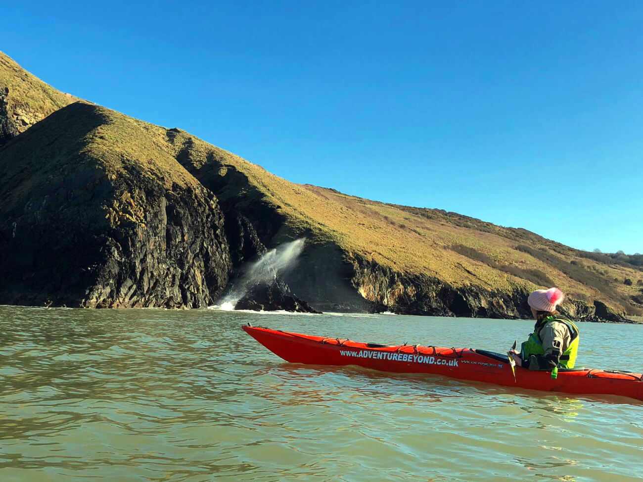 Cardigan bay active photo 7