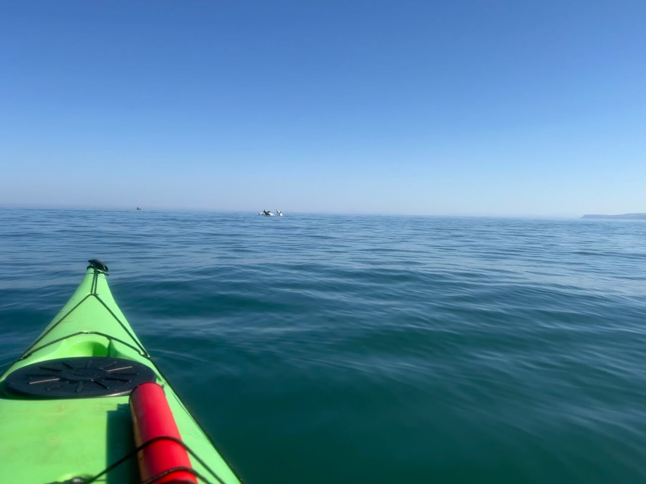 Cardigan bay active photo 8