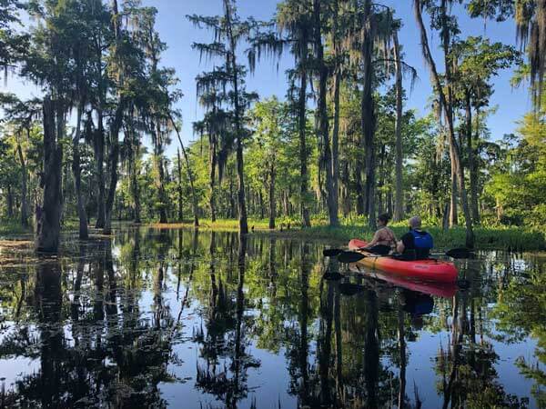 New Orleans Kayak Swamp Tours photo 2