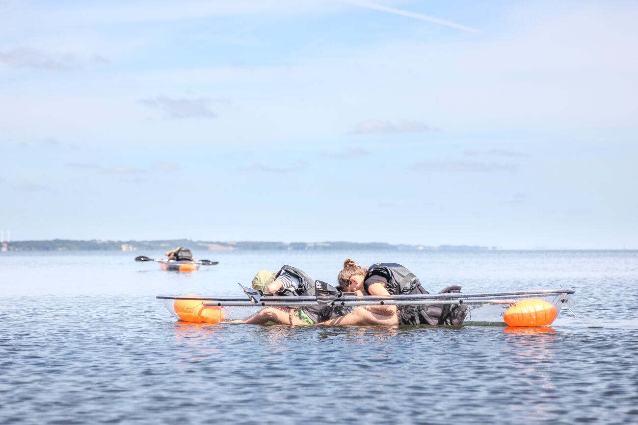 Trips/tours in GLASS KAYAK® with VisionKayak photo 2