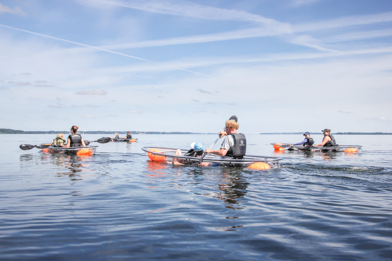 Trips/tours in GLASS KAYAK® with VisionKayak photo 3