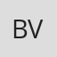 bronson vulic