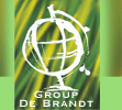 groupe de brandt logo