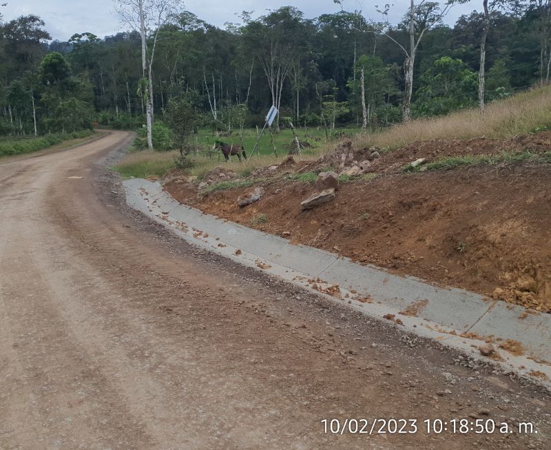 Imagen 437 del proyecto