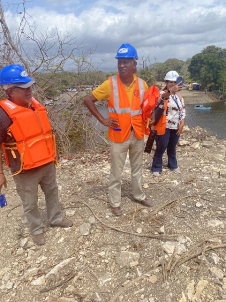 Imagen 14 del proyecto