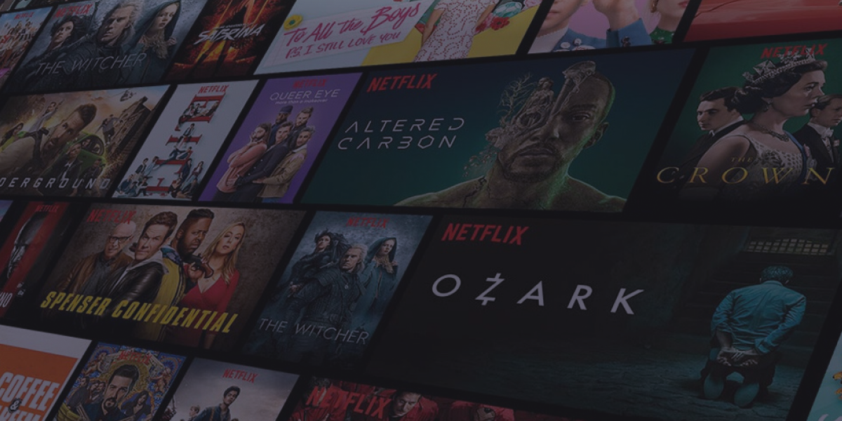 Netflix Miembro Extra